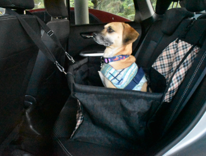 Asiento Viajero Para Mascotas